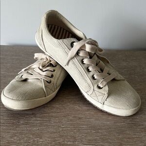 TAOS Canvas Lace Up Sneakers Casual Shoes Size 8.5